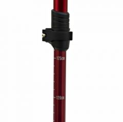 ALPS Mountaineering Conquest Trekking Pole #4